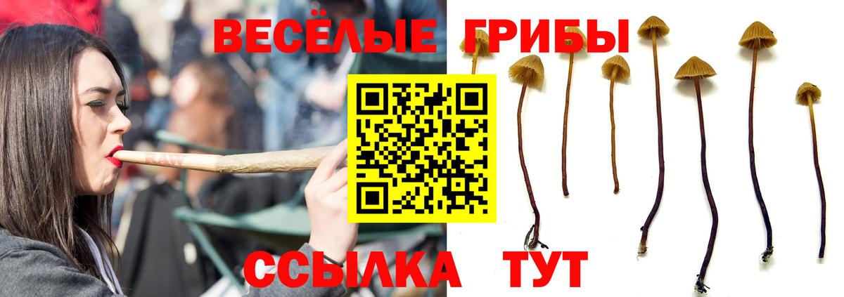 Псилоцибиновые грибы мицелий  Вход с VPN  Псилоцибиновые грибы Psilocybe  Балашиха 