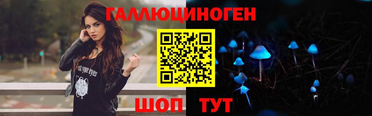 Галлюциногенные грибы Psilocybe Балашиха